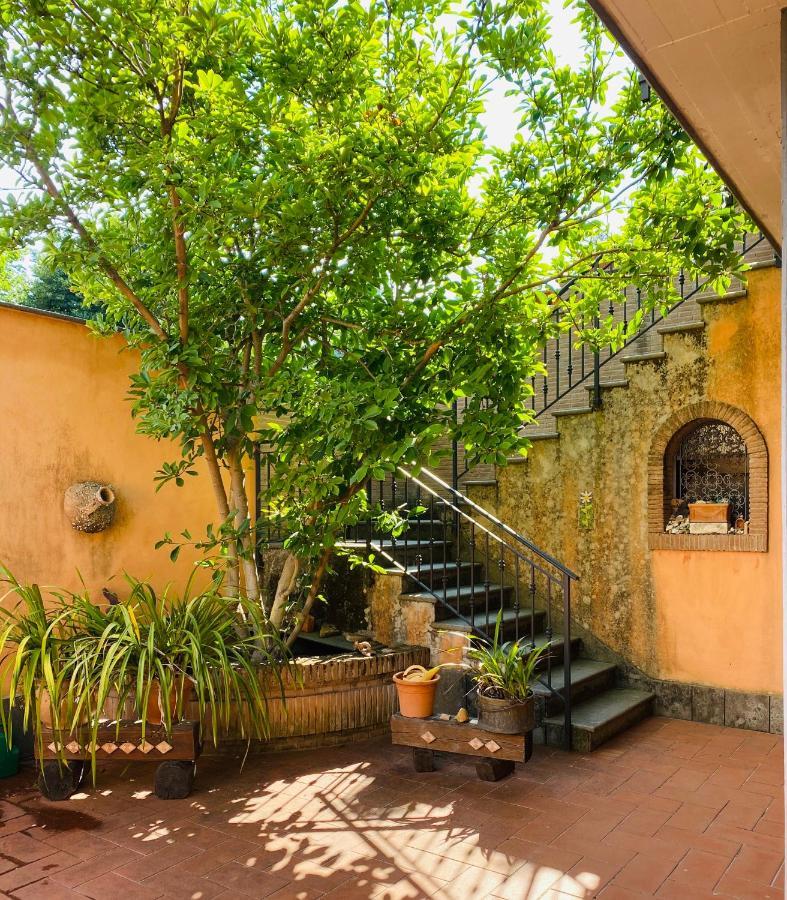 Villa Mariposa Nettuno Exterior foto